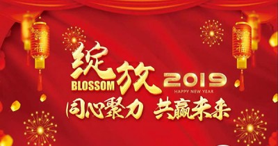2月启动会||绽放2019 同心聚力共赢未来