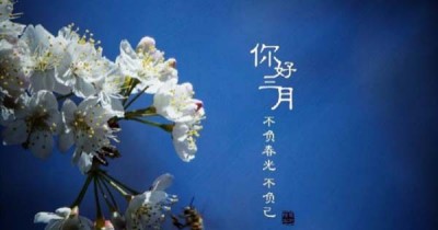 荆途电子商务||2021.2月刊