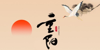 从容细品菊香 静赏秋日芳华